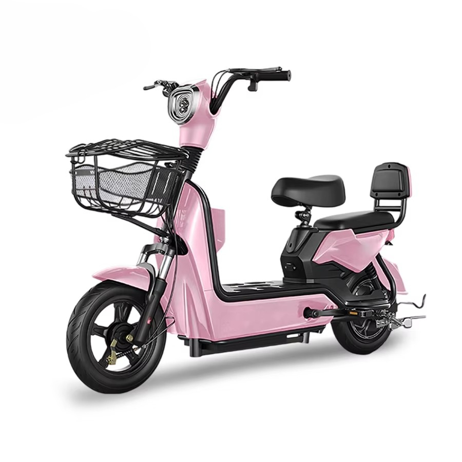 Best Price Electric City Bike  - Cycling In City recension och pris