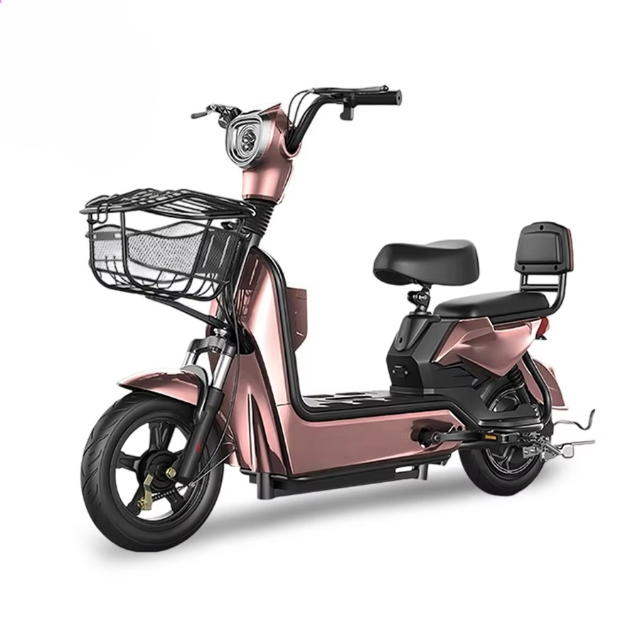 Best Price Electric City Bike  - Cycling In City recension och pris