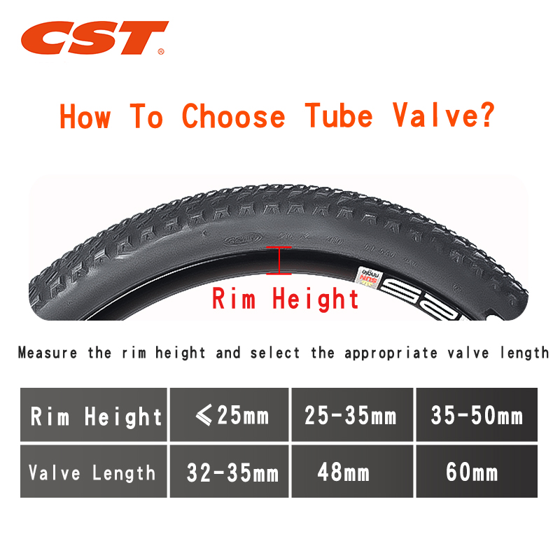 2PCS CST Bike Inner Tubes 20in - Inner Tube 700C recension och pris